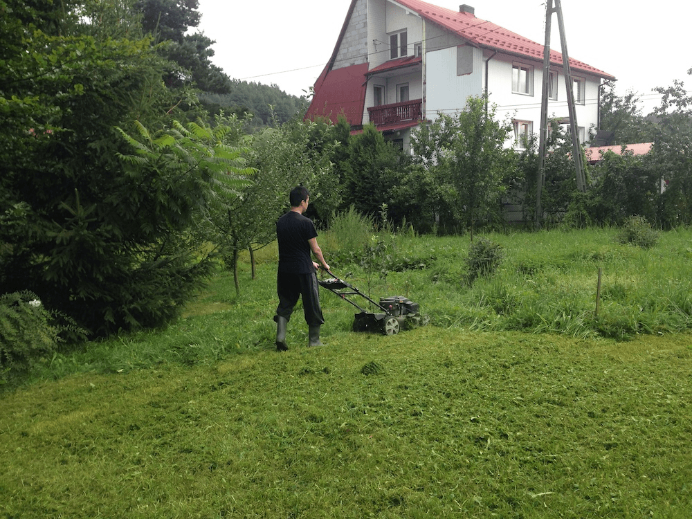 Chopping the grass without the storage compartment.