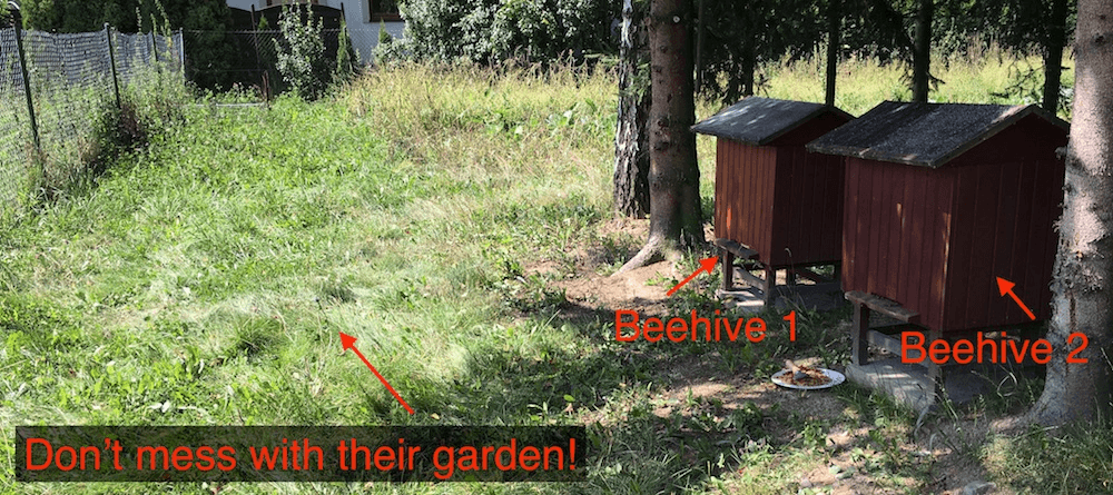 Don’t mess with the bees!